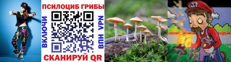 Галлюциногенные грибы Psilocybine cubensis маркетплейс клад Алзамай ссылка на мегу ссылки